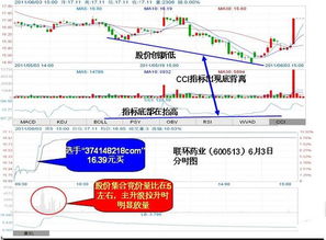 什么叫股价的偏离度