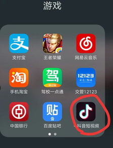 拍抖音的特效是怎么弄来的 