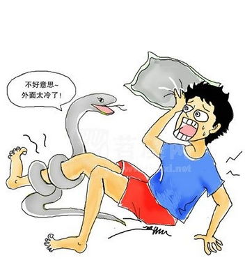 女人梦见虫子爬到身上,预示什么