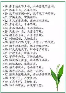 500句中华经典谚语,让孩子学会了,不仅仅是增加知识,更是增加智慧 