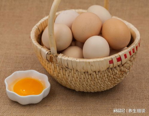 鸡蛋营养虽高，但需注意食用量，控制在这个量为佳！
