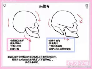 人体废,这一波教程你得学 