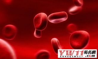 rh阴性血是什么血型(B型RH阴性血到底是什么样的血型)
