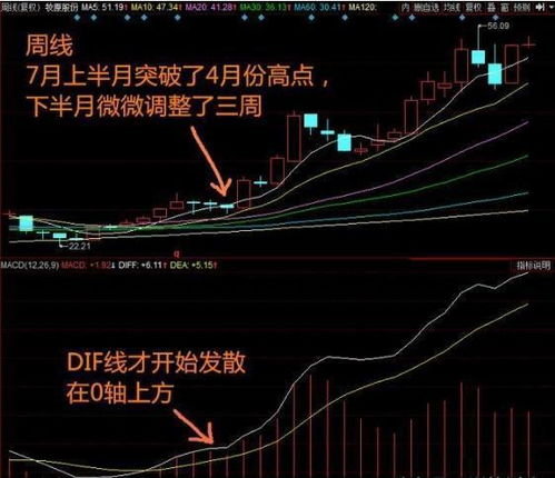 为什么我在同花顺上看不到周k线呢？看着日k线，按F8没反应。