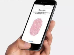 手机指纹识别存在缺陷 录入越多越危险