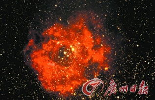 NASA探测器捕捉到绚丽恒星簇似 宇宙玫瑰 