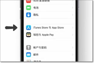 怎样把iPhone的app store换成中文字体 