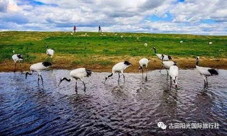 6月21日游中国第一大淡水湖 鄱阳湖 全鱼宴 梦里老家 穿越时空 婺源洪村 特价3日游