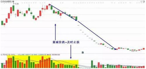 请问高手们 天天缩量下跌 明天会怎么样呢