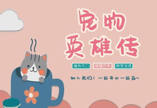 小奶猫想妈妈了,在金毛睡着时往怀里躺,狗狗的反应却让人吃惊