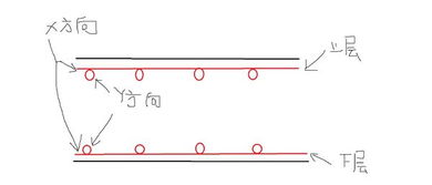 双向是什么意思?