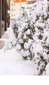 厚厚的雪图片素材 厚厚的雪图片素材下载 厚厚的雪背景素材 厚厚的雪模板下载 我图网 