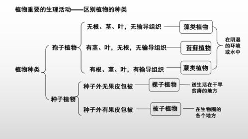 安徽2023生地会考难吗