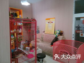 宠爱时代宠物店 宠物美容店图片 北京宠物 