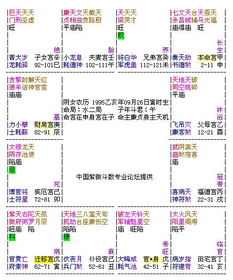 紫微斗数,帮忙解答一下吧 谢谢您 