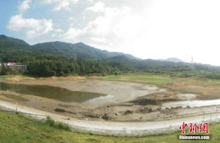 江西部分高温受旱地区 水库干涸见底水田开裂 