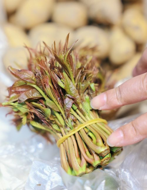 名字里带香,很多人却觉得臭 菜场摊主说越嫩越贵,饭店老板说老头炒蛋更香