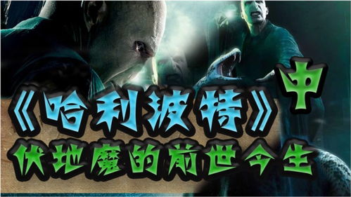 你不知道的 哈利波特 第10期 伏地魔的前世今生 中 