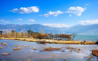 风光美如画,人在画中跑 2019西昌邛海湿地马拉松报名开启