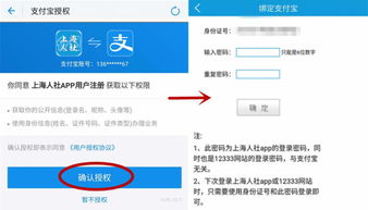 上海社保手机上怎么查 上海养老保险查询app 