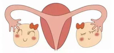 卵巢保养的好处 卵巢保养的作用和好处