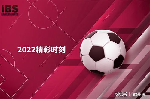 2022年卡塔尔世界杯英语大合集,世界杯相关英语