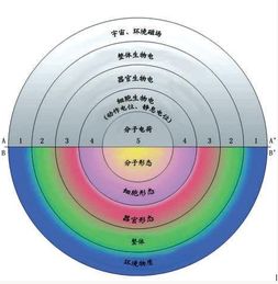 阴阳转化的介绍 