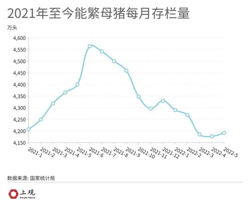 猪价连续两天下跌 淡季反常大涨背后到底啥原因