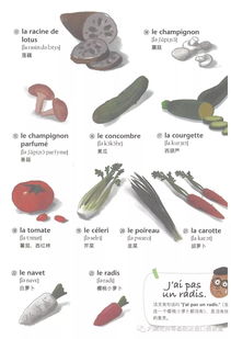 法语词汇 常见蔬菜的名字,附读音