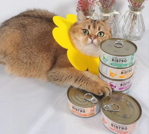 什么猫咪主食罐头好,猫罐头品牌推荐