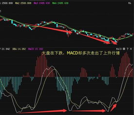 黄线和蓝线分别代表什么？