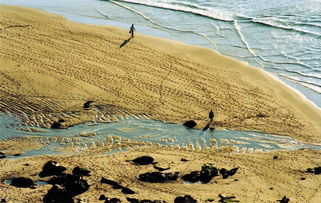 孤独海滩广阔自由幸福孤岛图片素材 模板下载 11.10MB 其他大全 其他 
