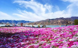 旅游区迁西雨花谷(迁西雨花谷在哪里)