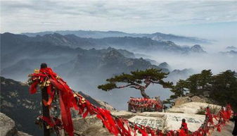 黄山和华山哪个更值得爬 