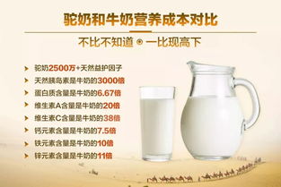 驼奶多少钱一罐 驼奶的价格
