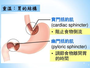 大胃王为什么都那么瘦 