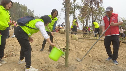 我市举行亲子家庭义务植树活动 共建幸福 家庭林