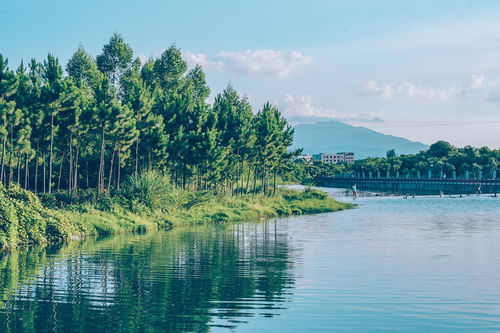 关于河水汹涌的诗句