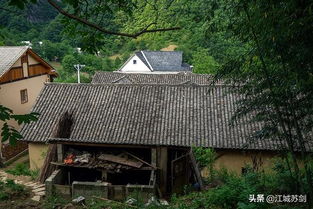 壮丽70年 奋斗新时代 神农架美丽乡村行 探访蛇草坪古民居