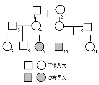 人的血型是遗传的.是由基因决定的.ABO血型系统有四种血型.共六种基因型.现列表如下 1 从表中可以看出 对 为显性.对 也为显性,与之间无显性隐性关系.为共显性 