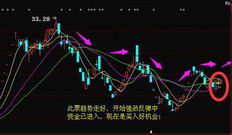 谁能帮忙选个小盘成长股做中长线？