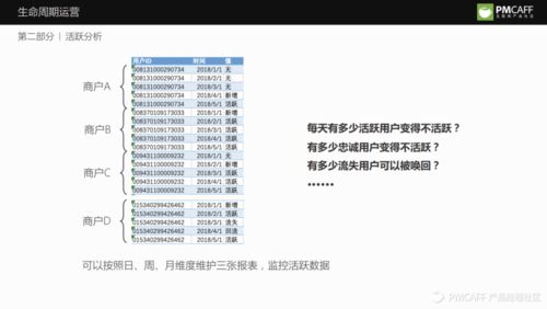 生命竞赛查重率实战经验分享：从失败到成功