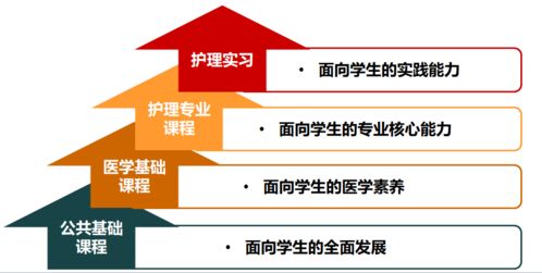 招生 护理学院 护理学 本科 护理学 中外合作办学 专业介绍