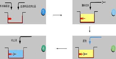 巨噬细胞炎性蛋白1,人巨噬细胞炎性蛋白1ELISA试剂盒 