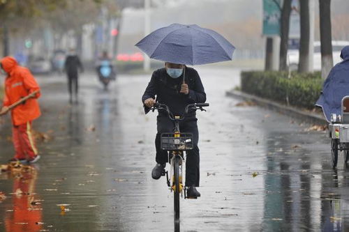 降雨到货 郑州冷空气来袭开启降雨 降温模式 