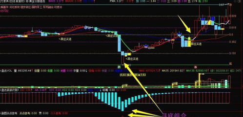 股票代码下面标有抢仓是什么意思