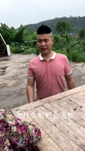 为什么青蛙会飞