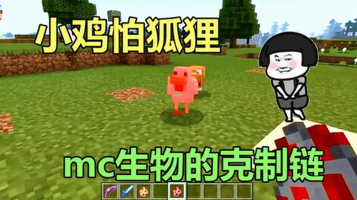 我的世界 mc里3大生物的天敌,苦力怕害怕猫,熊猫怕打雷 