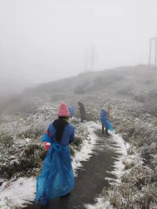 重庆4月多地迎来大雪 未来10天3股冷空气南下，多地重启雨雪天气，长江以南会下雪吗？ 
