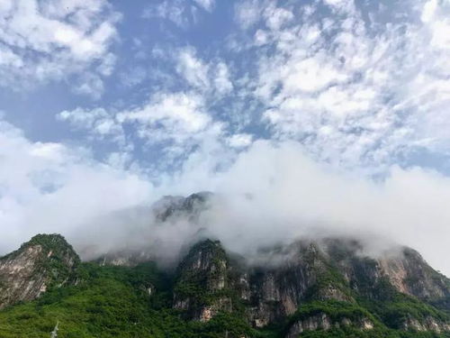 中国天然氧吧 湖北原始森林神农架自驾游之旅 附美景照片 视频及攻略